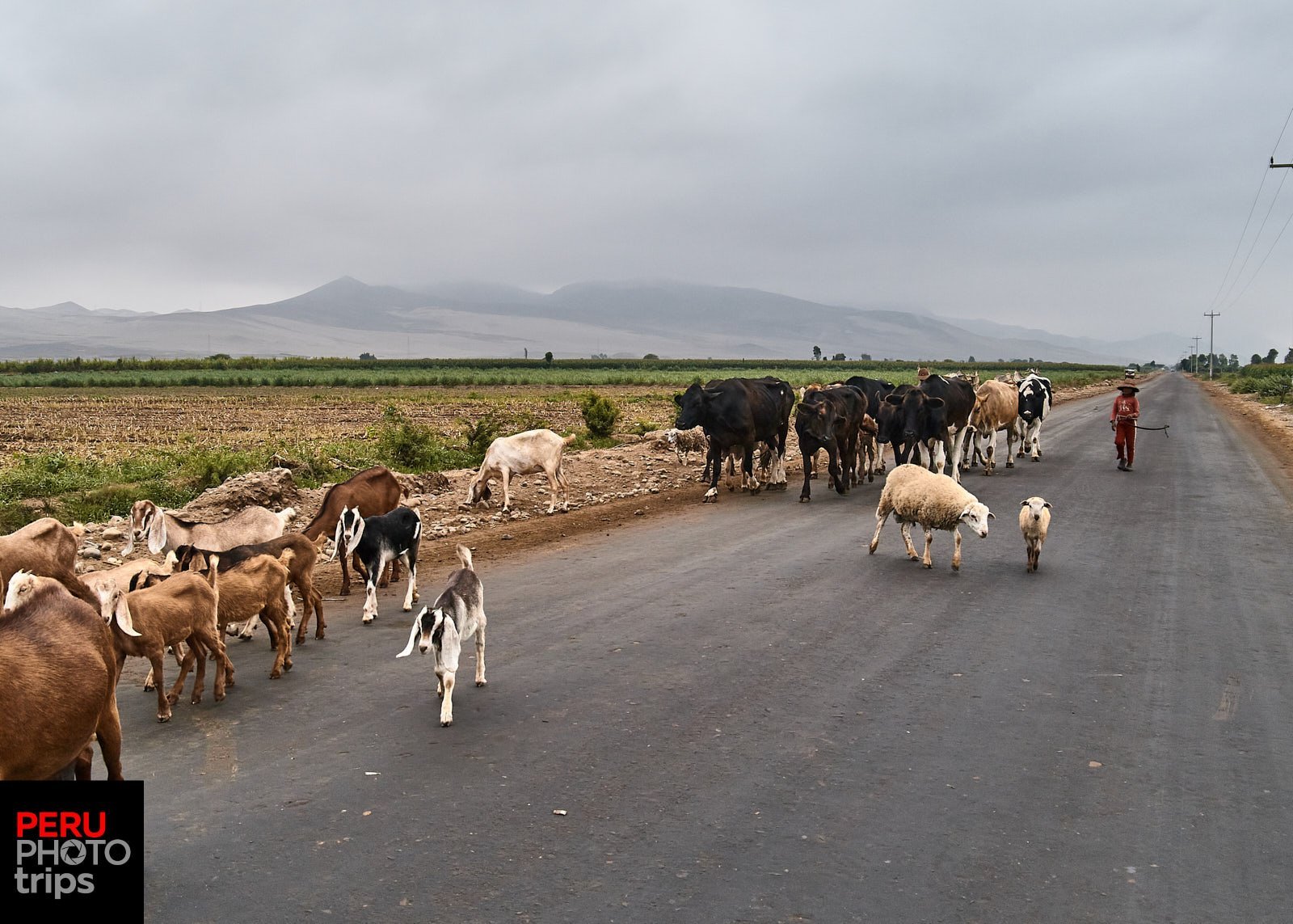 CARAL VALLEY