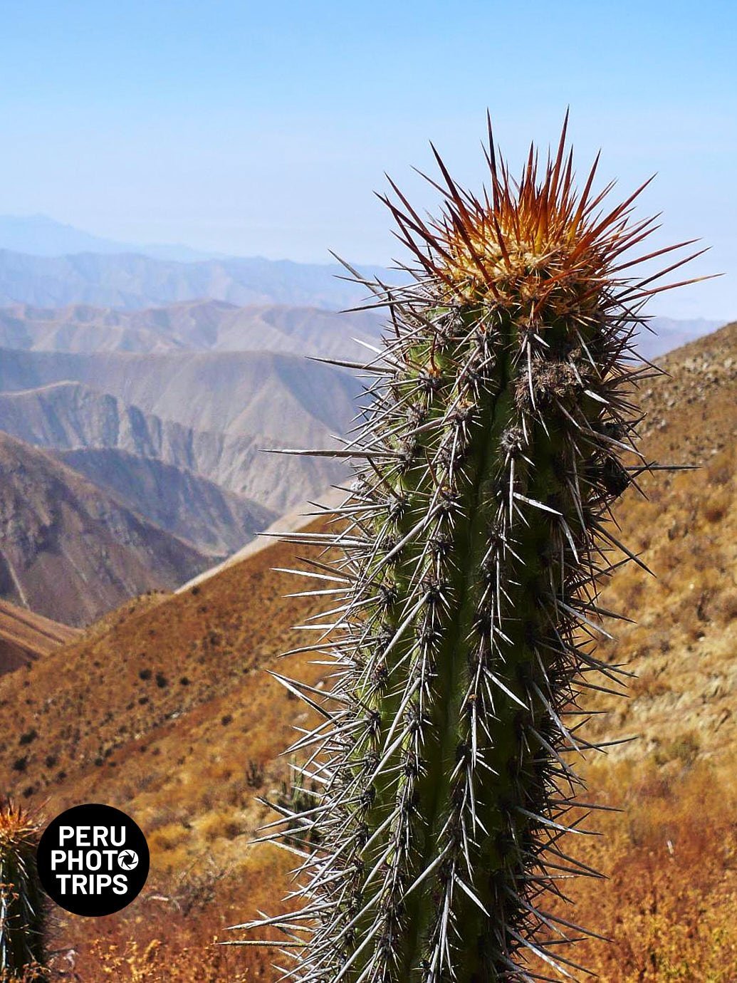 Lurin Andes Photo Trip Peru