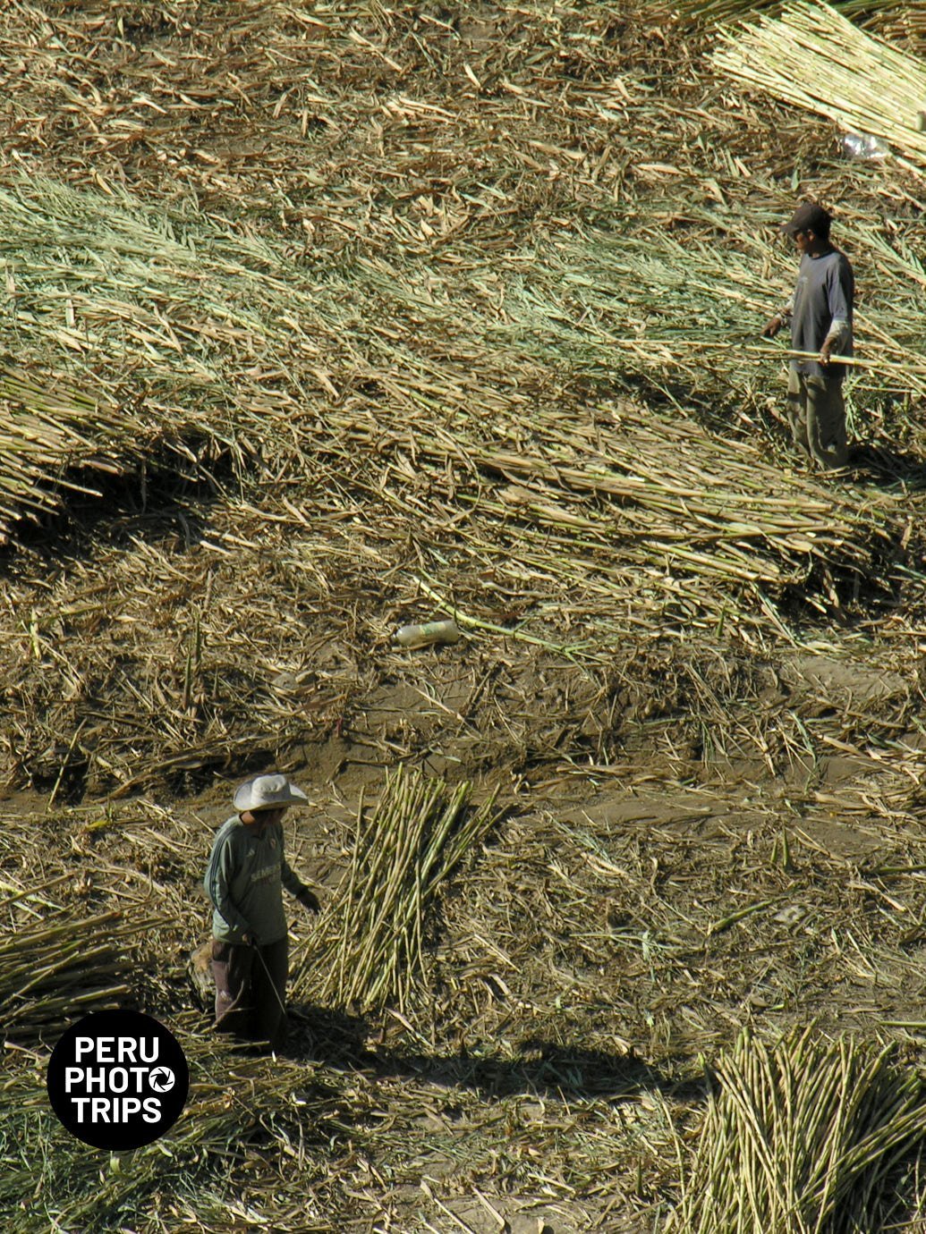 Lurin Andes Photo Trip Peru