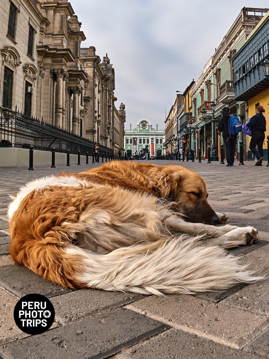 Lima city centre streets peru photo trips