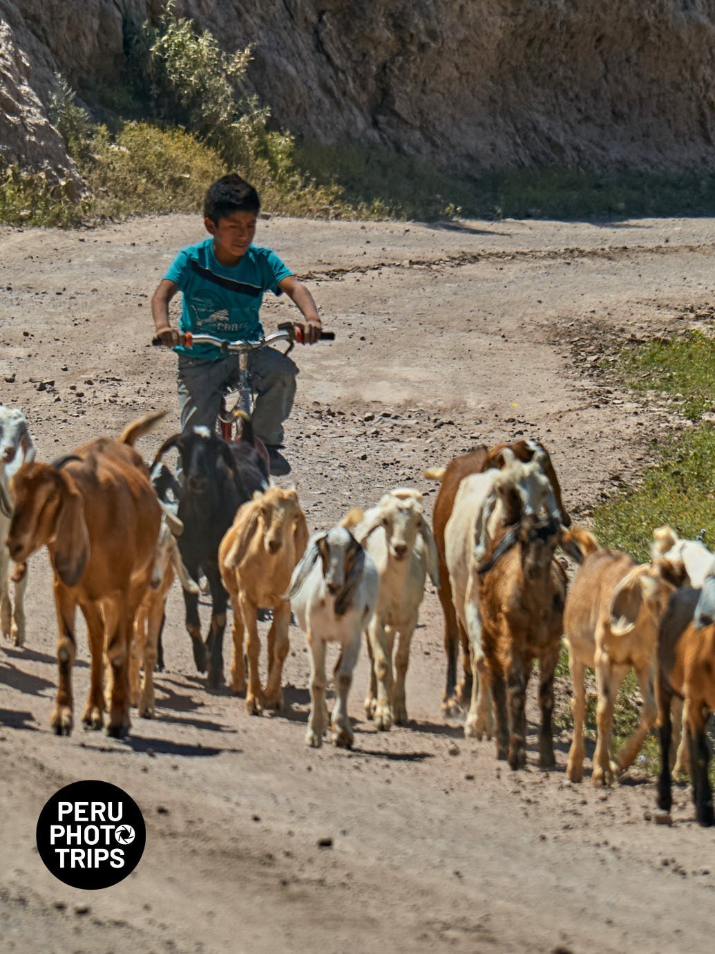 Lurin Andes Photo Trip Peru