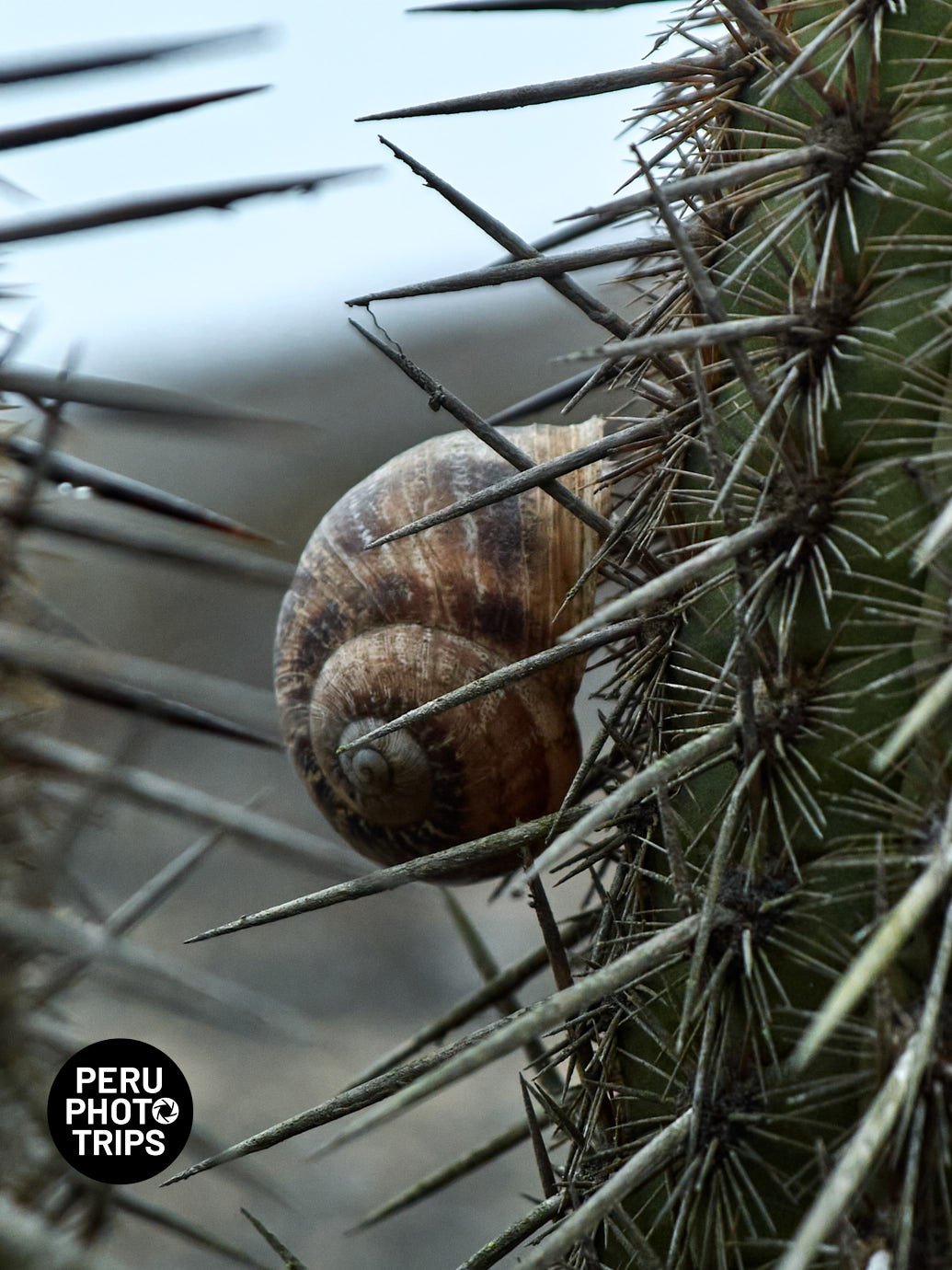 pacha valley peru photo trips