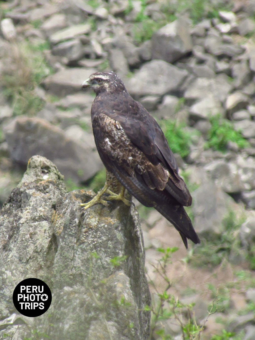 pacha valley peru photo trips