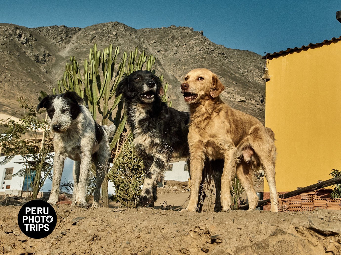 pacha valley peru photo trips