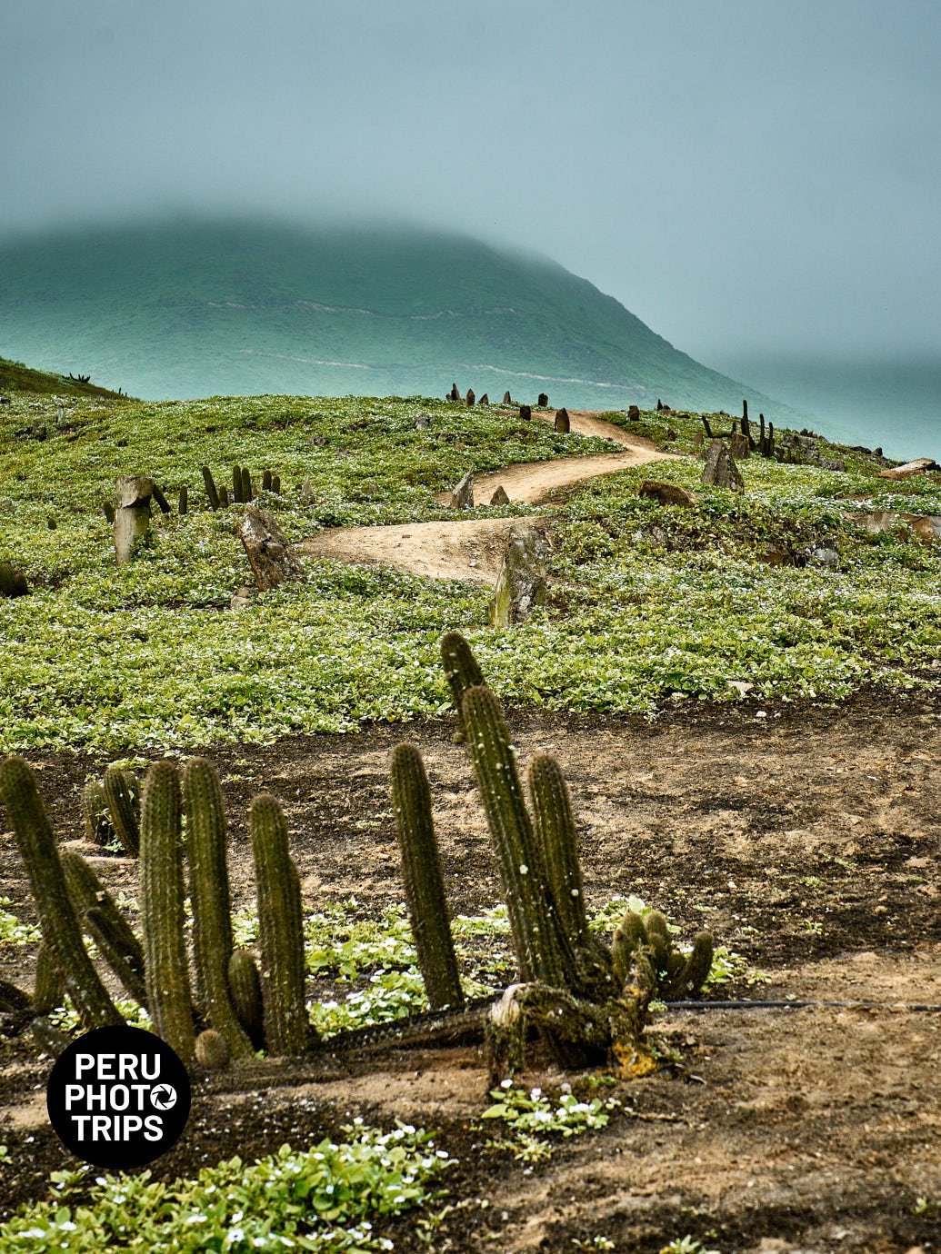 pachacamac fog oases peru photo trip