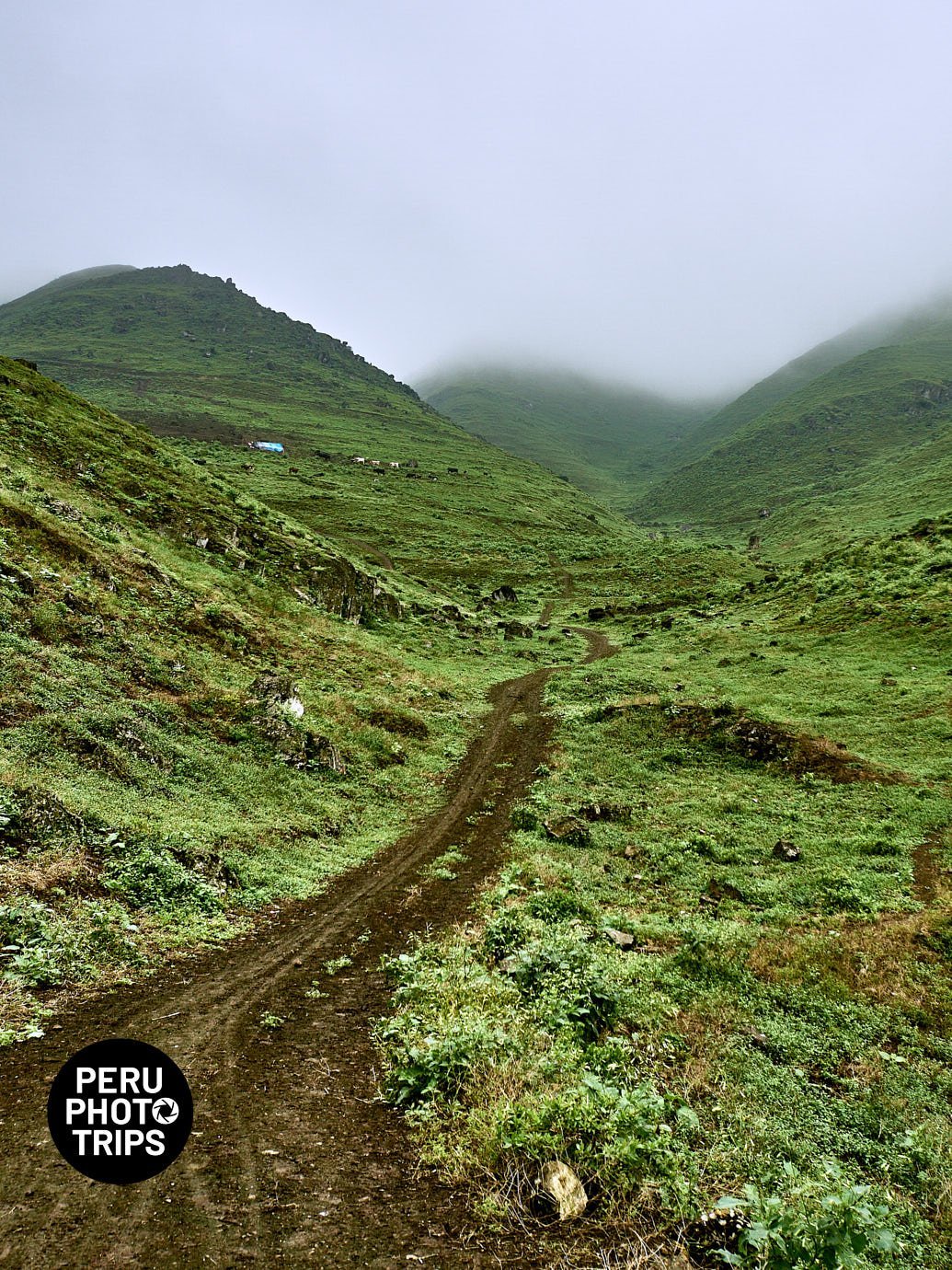 pachacamac fog oases peru photo trip