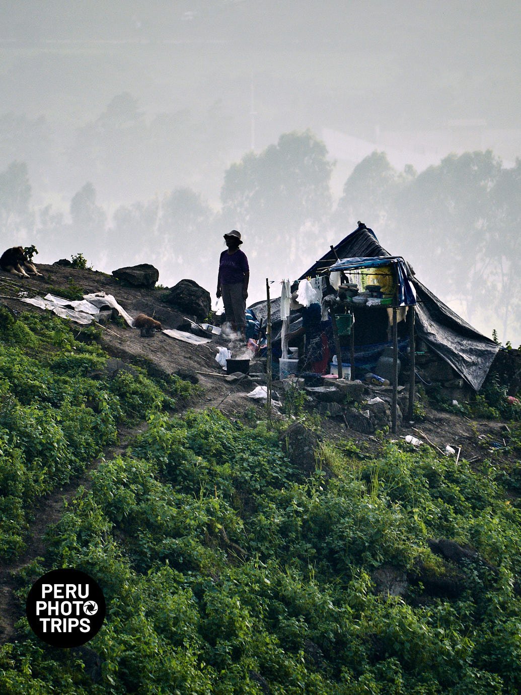 pachacamac fog oases peru photo trip