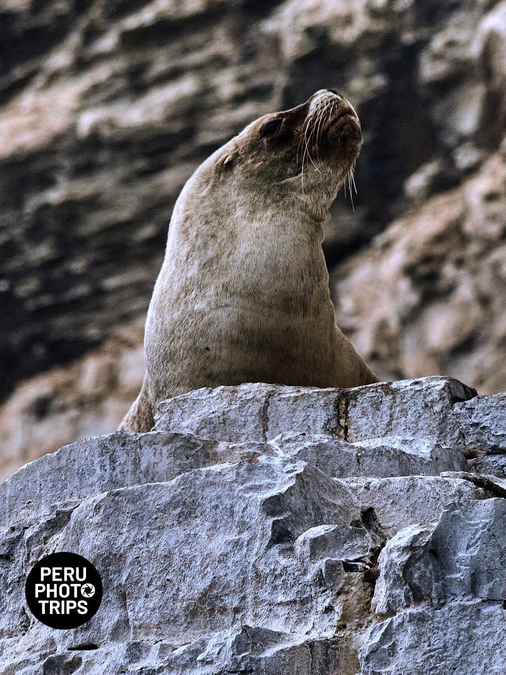 pucusana bay peru photo trips