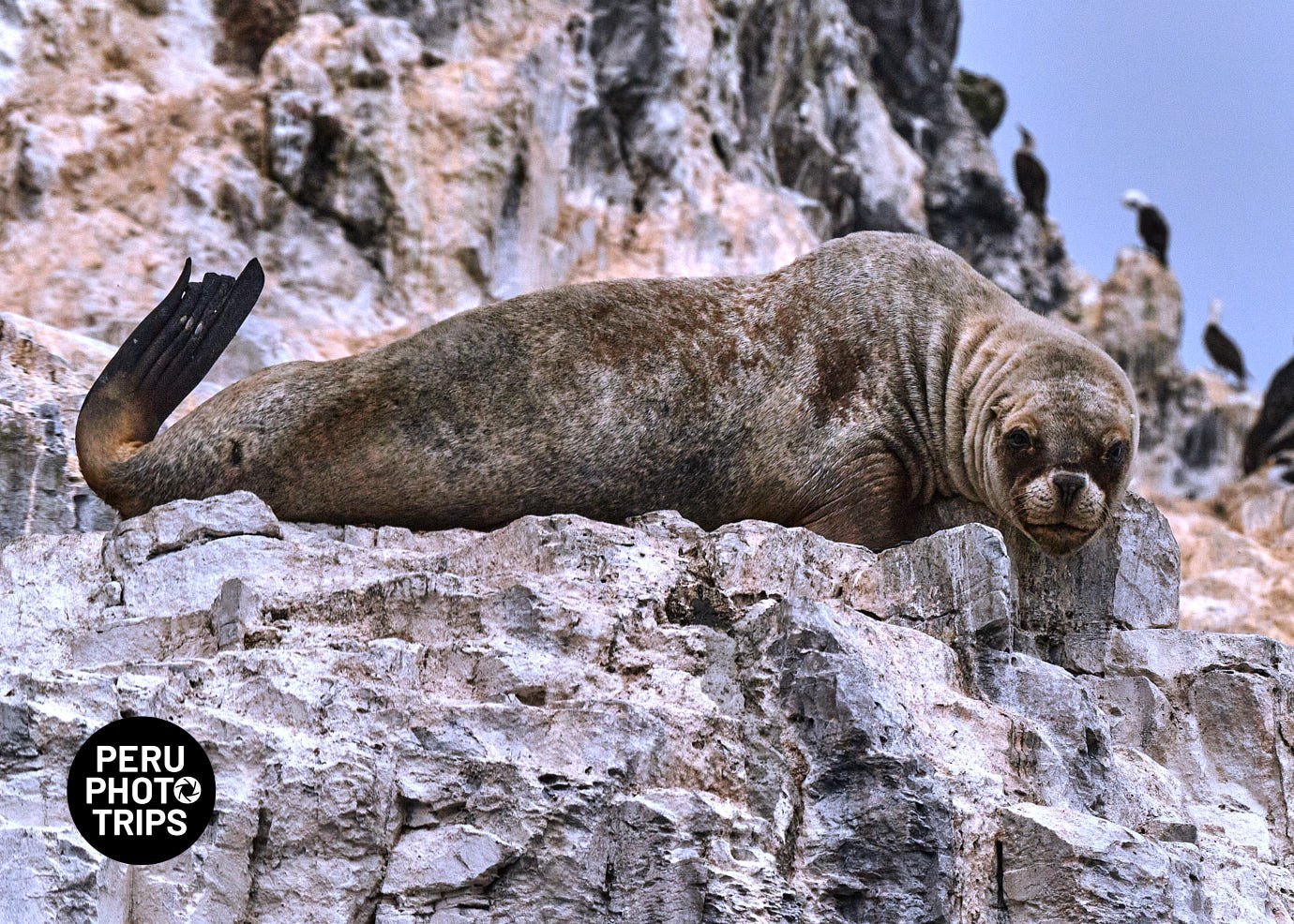 pucusana bay peru photo trips