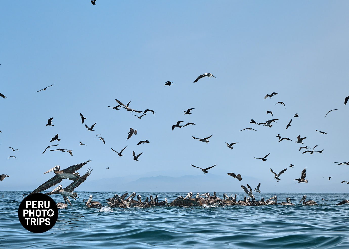 pucusana bay peru photo trips