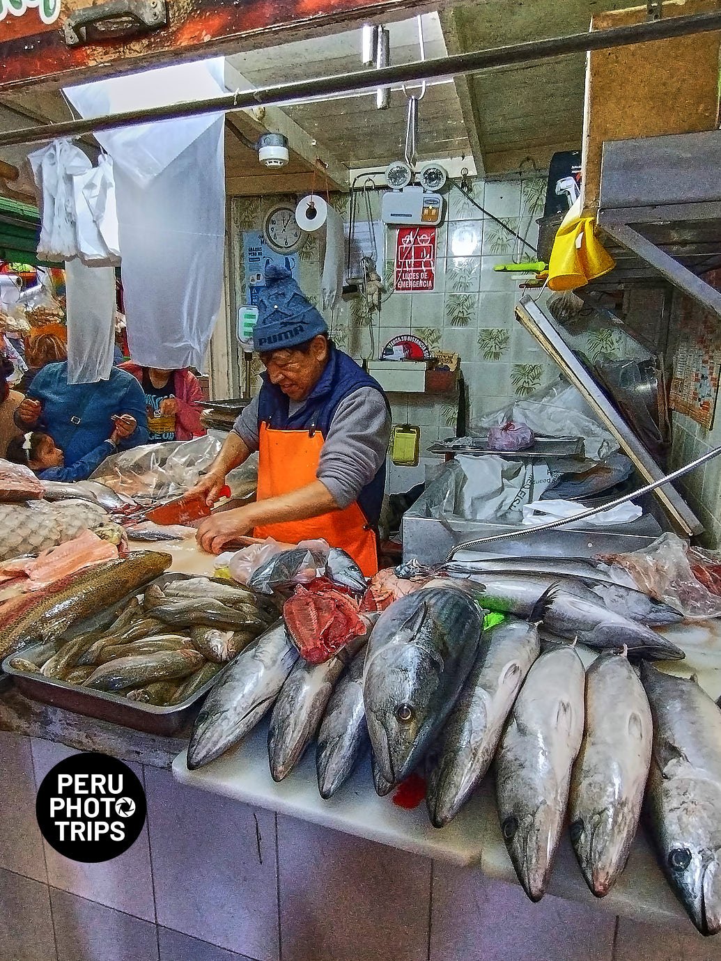 MAGDALENA MARKET