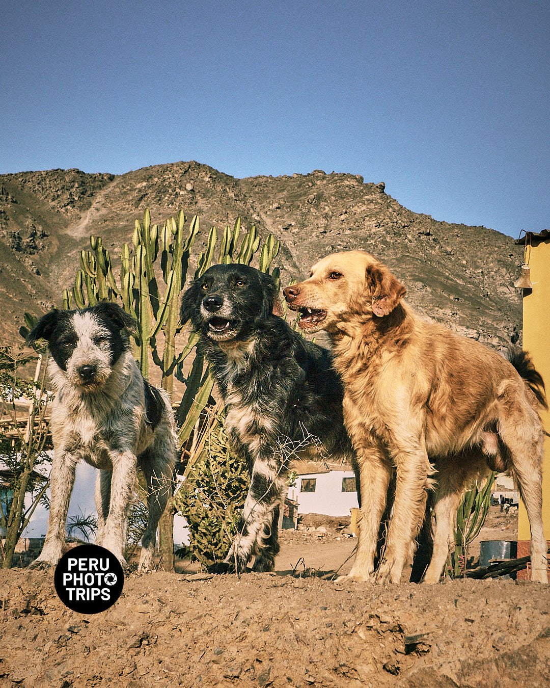 pacha valley peru photo trips