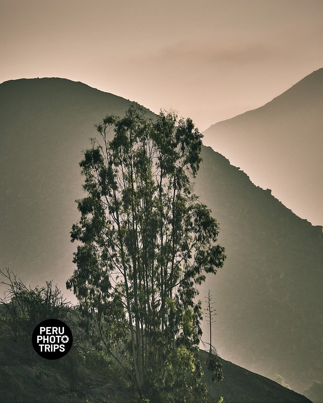 pacha valley peru photo trips