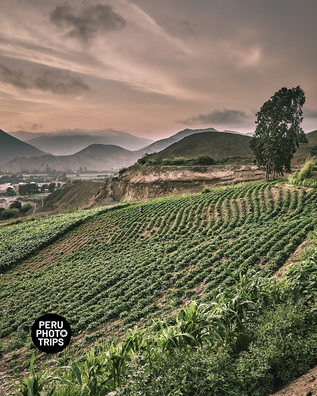 pacha valley peru photo trips