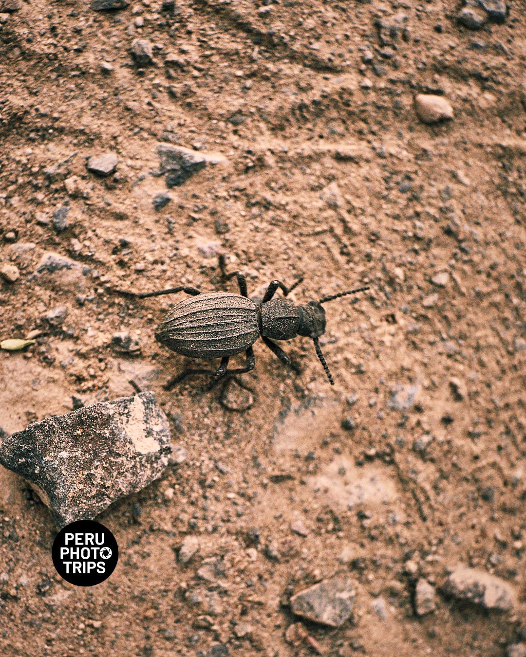 pacha valley peru photo trips