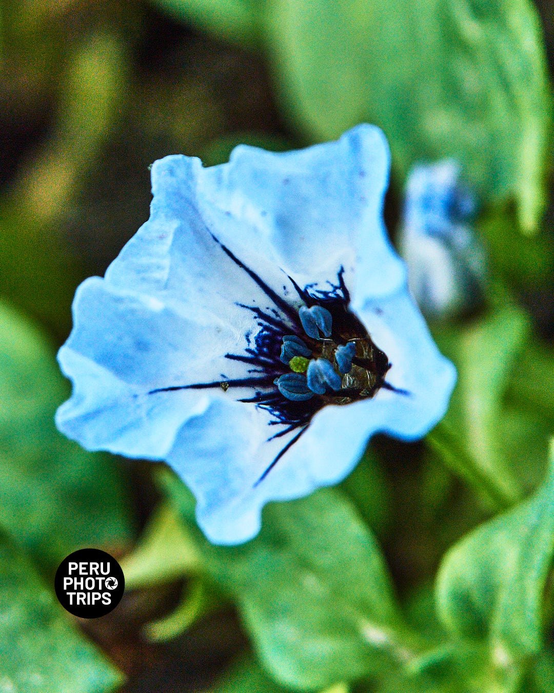 pacha valley peru photo trips