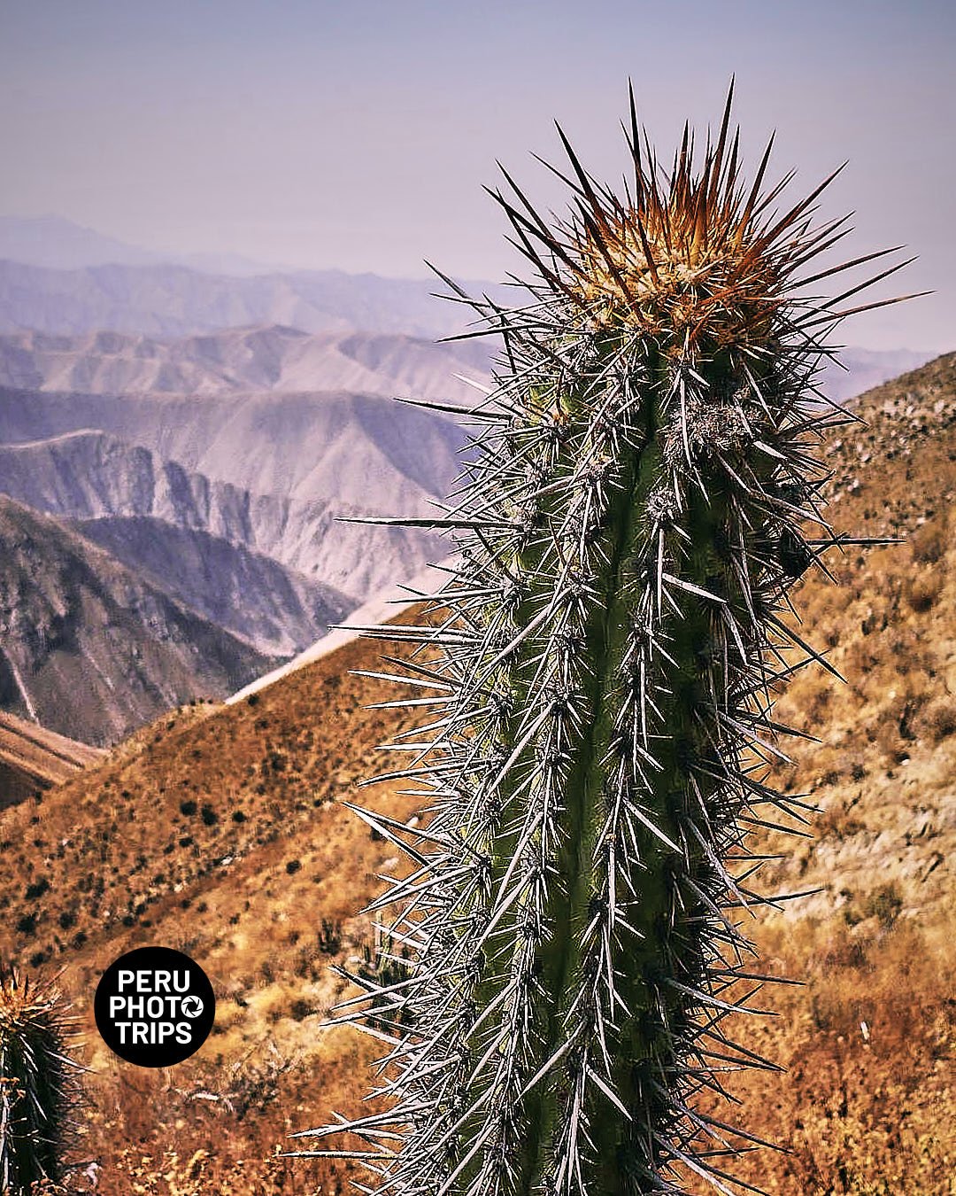 Andes of Lima Photo Trip Peru