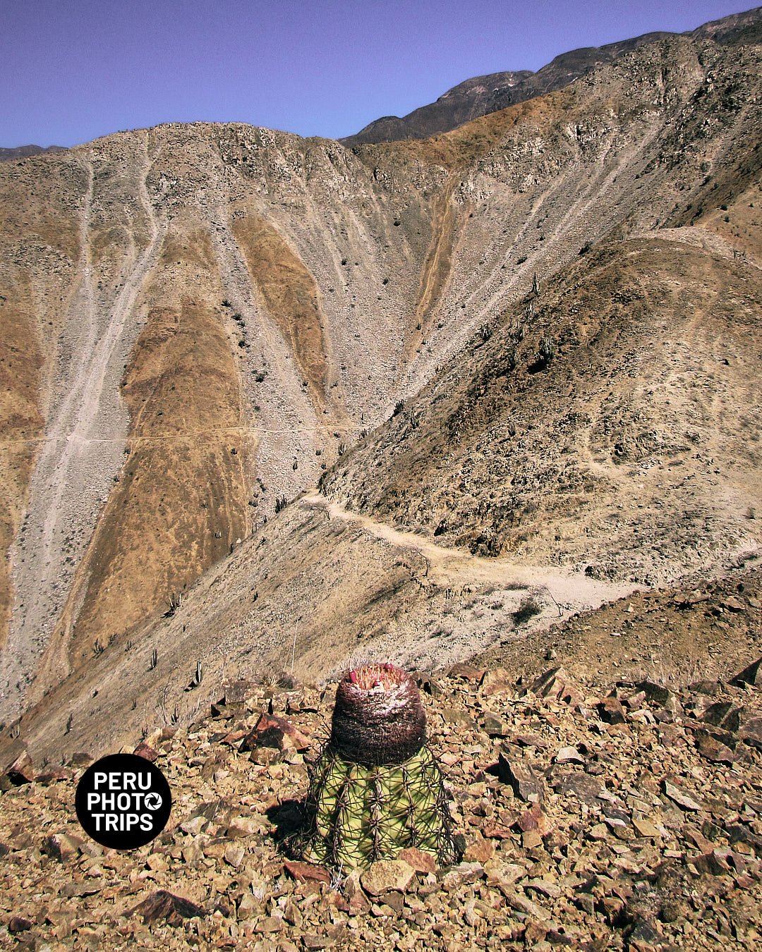 A DAY IN THE ANDES OF LIMA