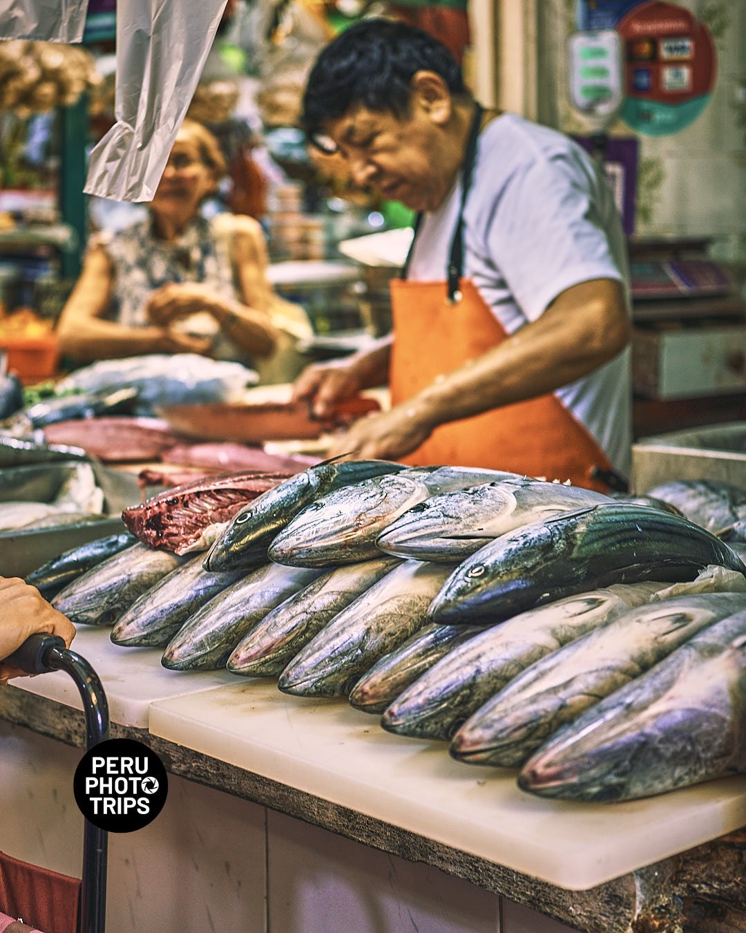 market magdalena