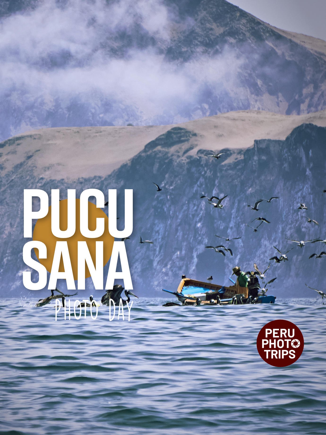 PHOTO DAY PUCUSANA BIRDS AND FISHING BOATS