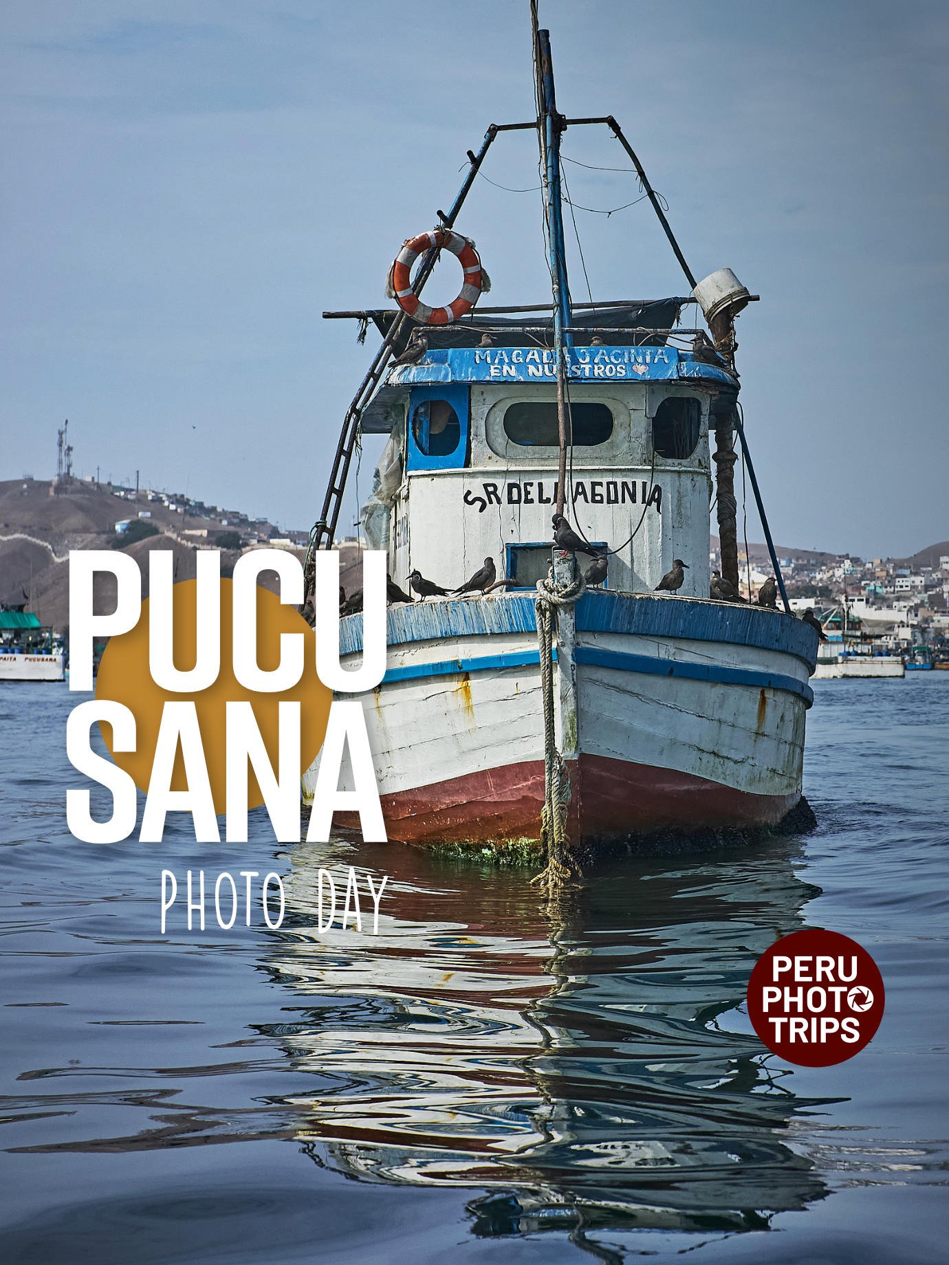 PHOTO DAY PUCUSANA BIRDS AND FISHING BOATS