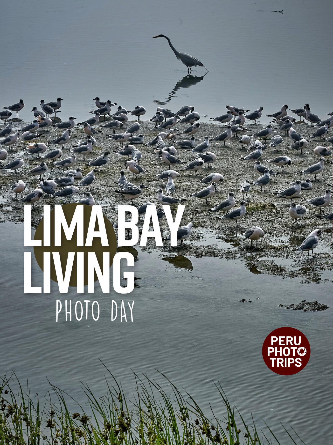 PHOTO DAY LIMA bay living callao, magdalena, chorrillos, barranco