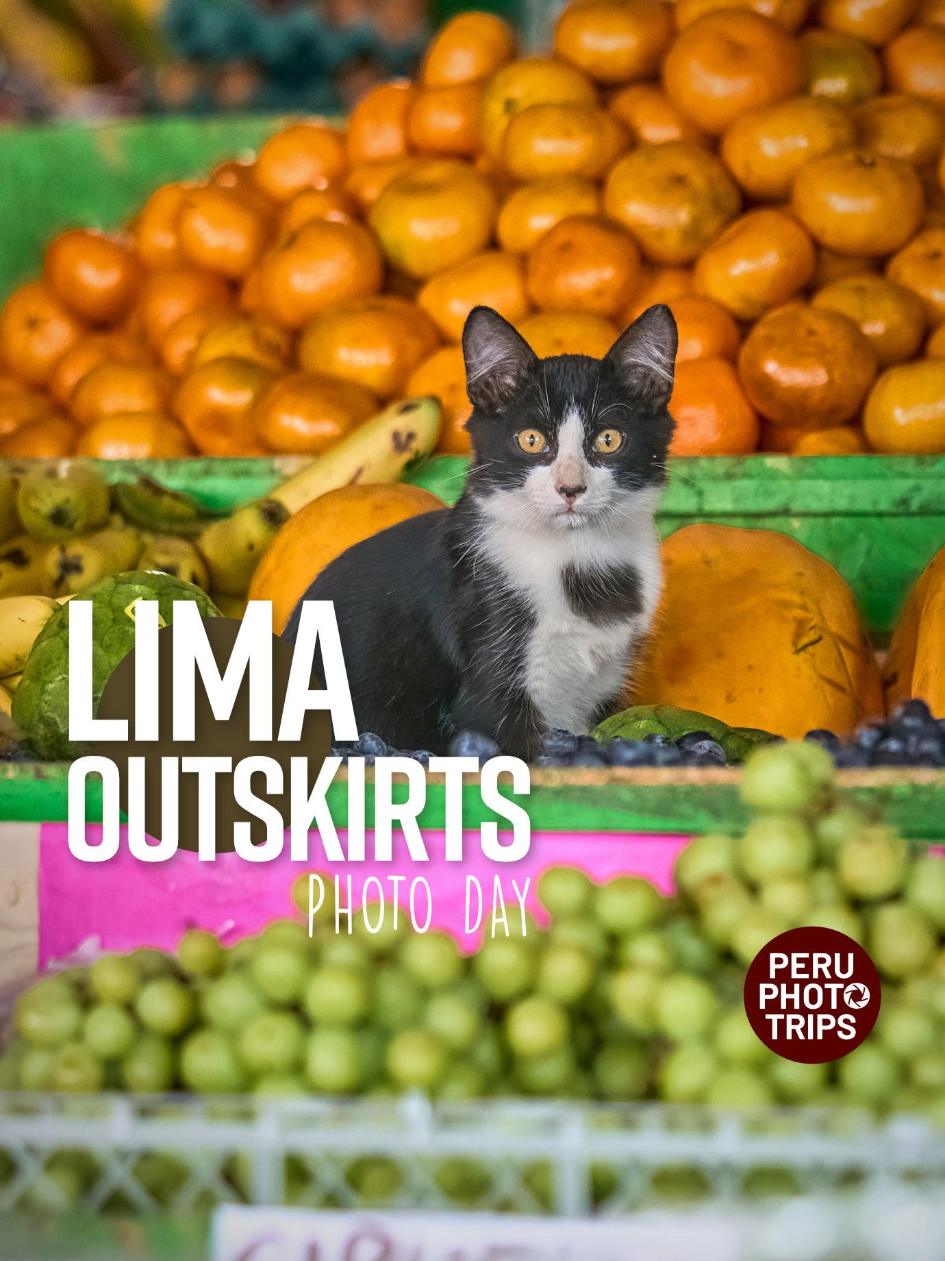 Lima outskirts photo tour cieneguilla pachacamac lurin