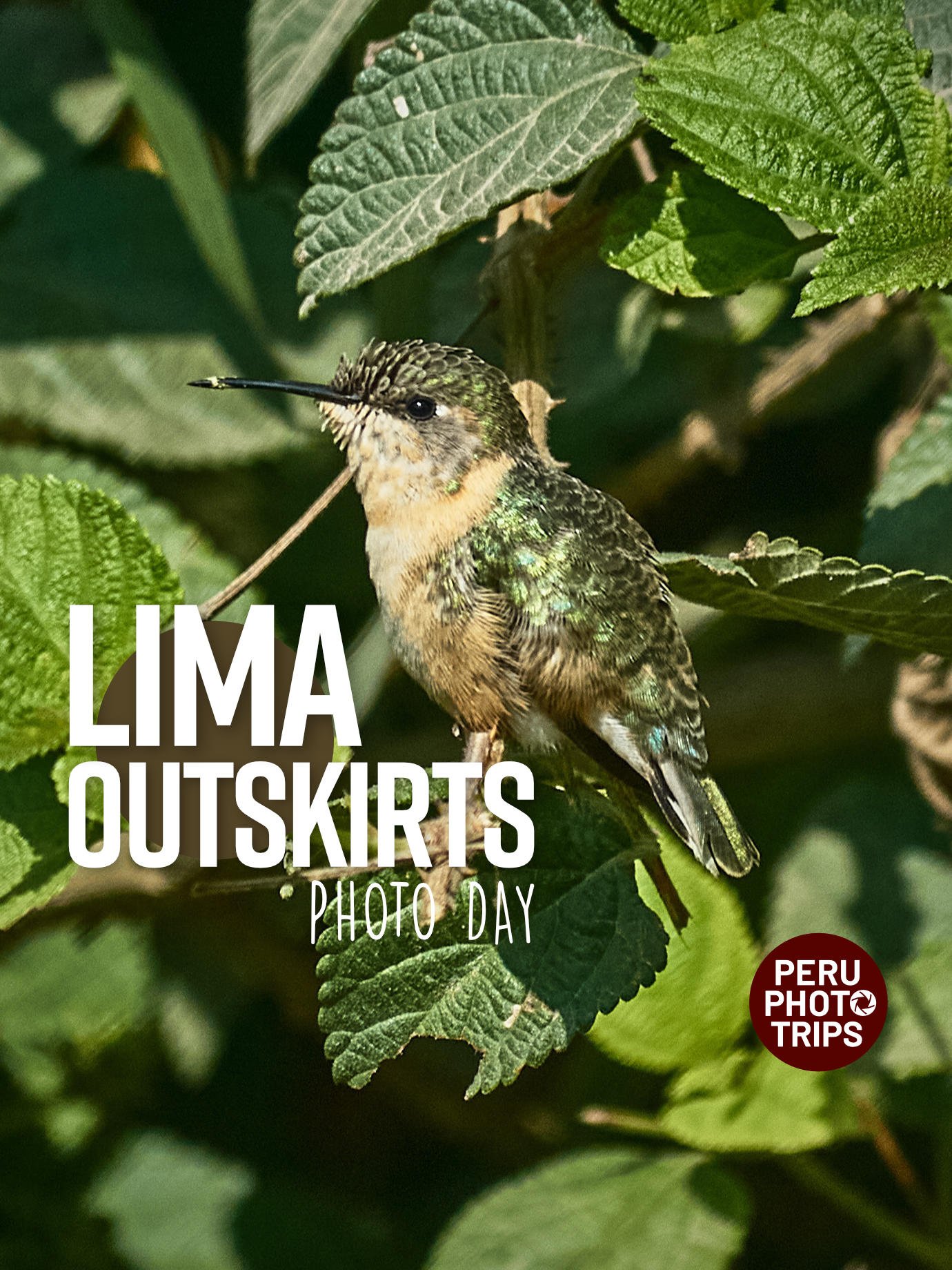 Lima outskirts photo tour cieneguilla pachacamac lurin