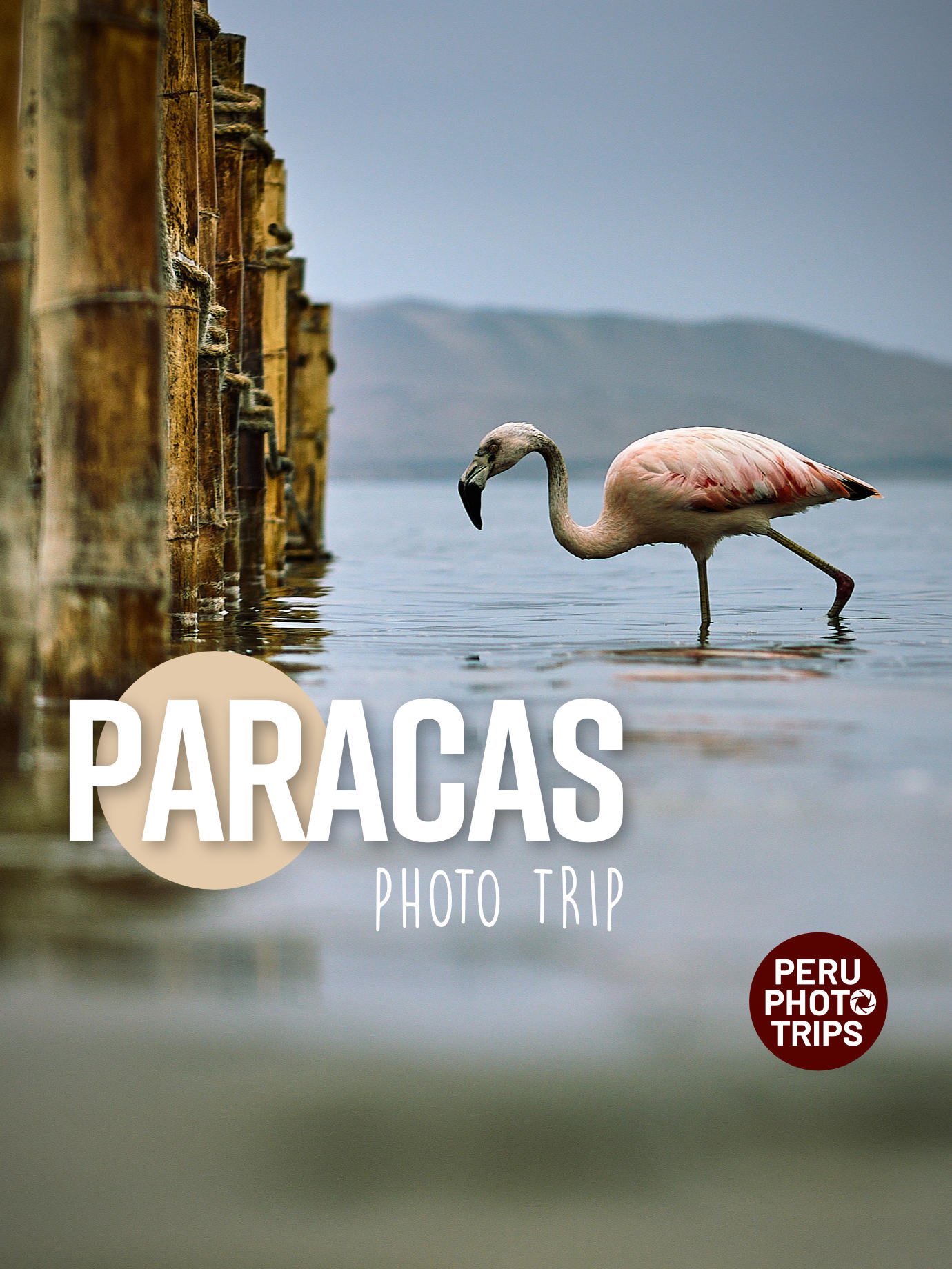 PHOTO TRIP PARACAS RESERVE