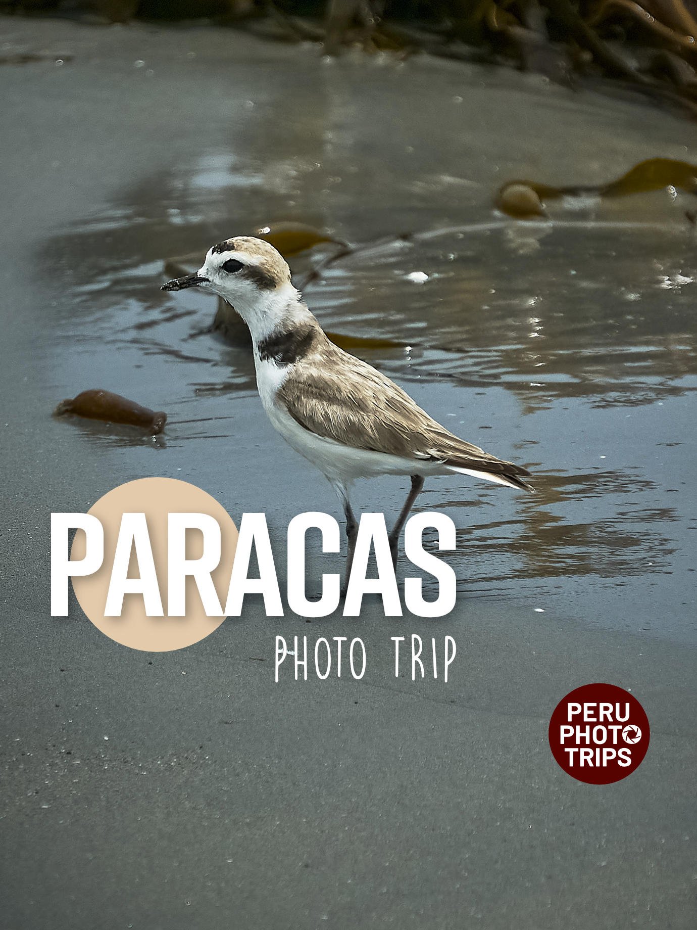 PHOTO TRIP PARACAS RESERVE